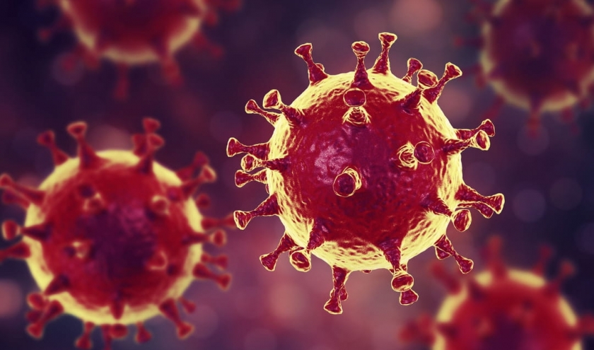 le coronavirus, le confinement et les futurs vaccins.