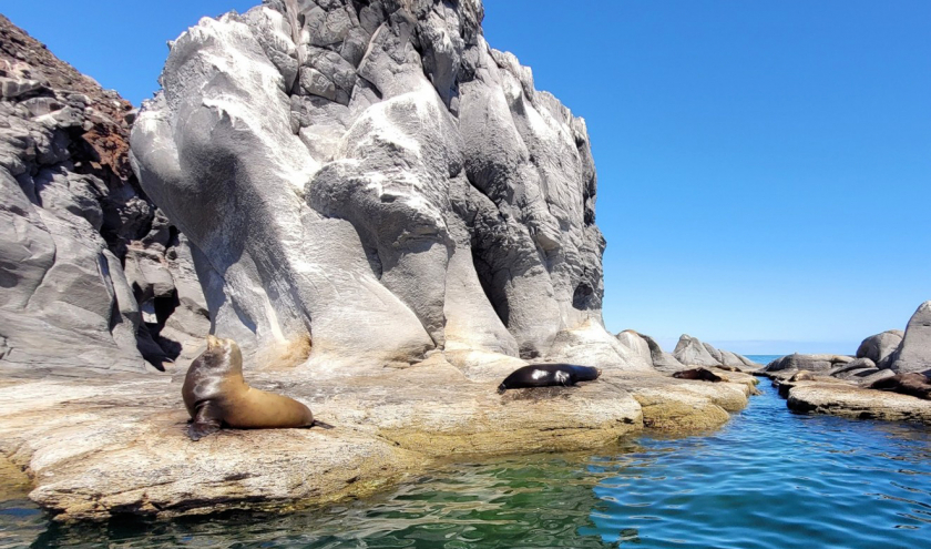 Le Parc national de Bahia de Loreto et les îles Coronados. Photo Mexcapade