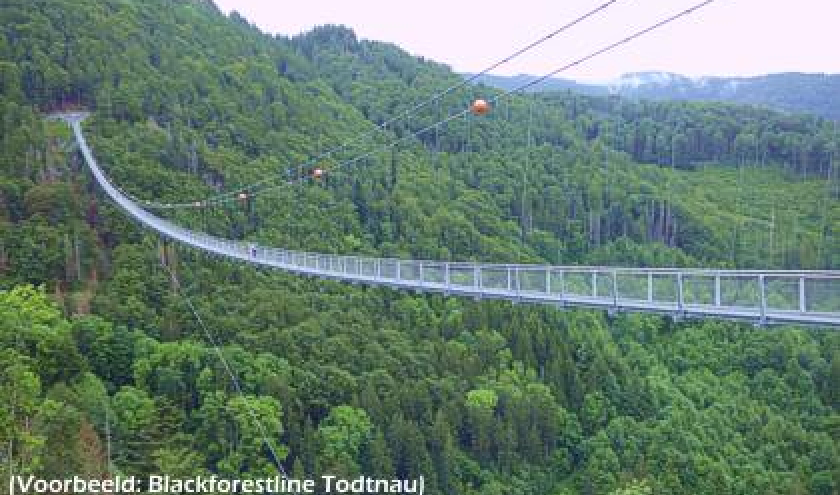 Futurs ponts suspendus en Wallonie 