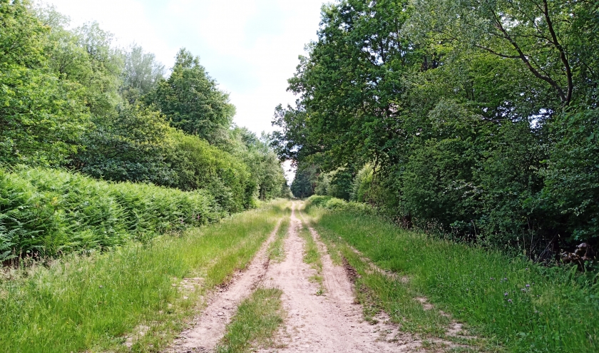 Sentier Spa - Malchamps vers Berinzenne