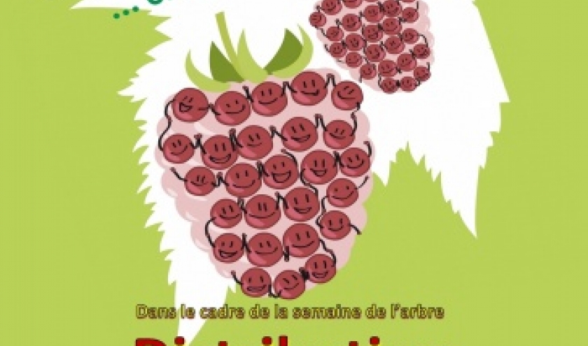 Distribution d'arbustes fruitiers