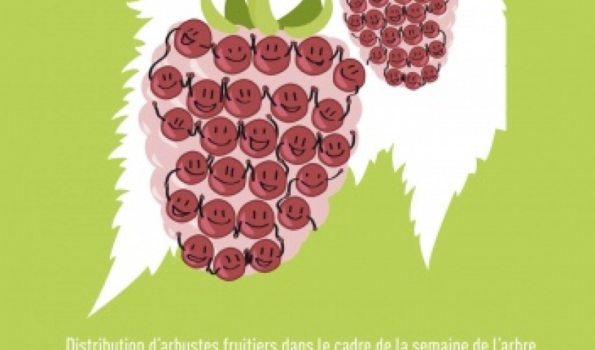 Arbustes fruitiers Gedinne Ecolo