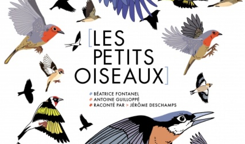 Les petits oiseaux  de Beatrice Fontanel  et Antoine Guilloppe   Editions Naive