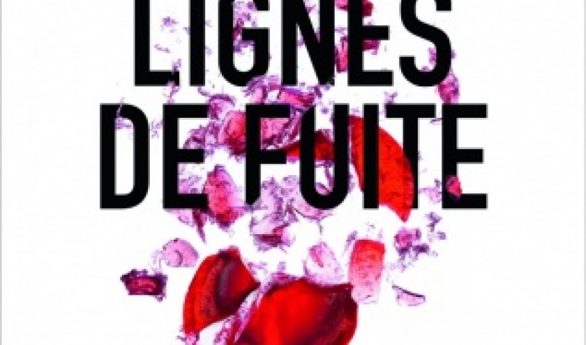 Lignes de fuite de Val McDermid   Flammarion.