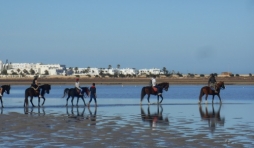 lac sale djerba