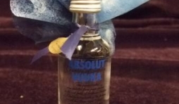 Bouteille Vodka 50 ml 4.45