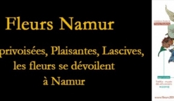  Cet Eté, Namur en Fleurs