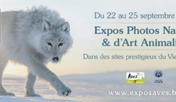  « Photos Nature et Art Animalier », à Namur, du 23 au 25/09