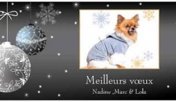 BONNE ANNEE 2012