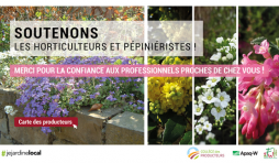 Réouverture des jardineries et pépinières : 