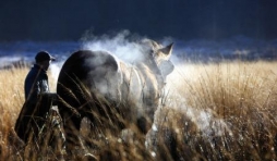 01-concours photo, Metiers Nature, Fondation Saint-Hubert 