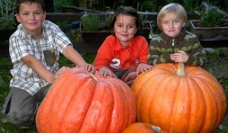 Aiseau. Congé de Toussaint: Halloween chez les Castors