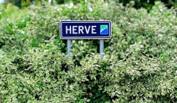 Au départ de Herve