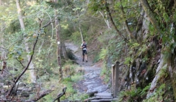 13° édition du Trail des Hautes Fagnes                                