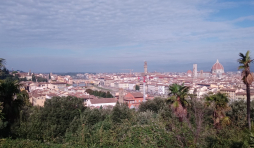 Vue de Florence ( photo F. Detry )