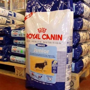 pasau, bastogne, 20, ans, bapteme,royal,canin, helicoptere