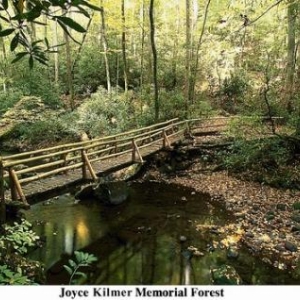 Joyce Klmer Memorial Forest - (c) North Carolina Tourism Office