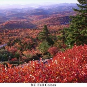 NC Fall Color - (c) North Carolina Tourism Office