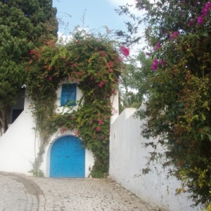 sidi bou said 