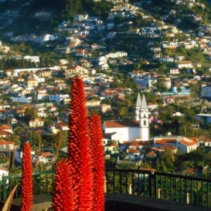 pico dos barcelos