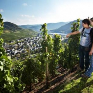 Cochem balade 