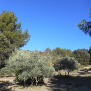 aubagne - font de mai