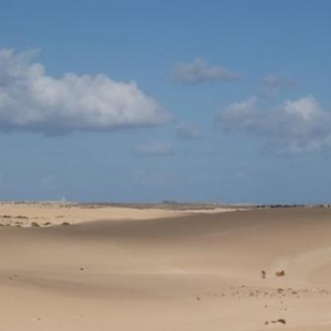 corralejo