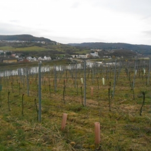 domaine henri ruppert schengen