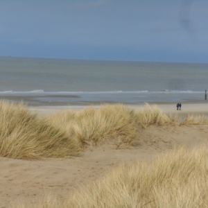 De Haan-aan-Zee, le Coq, un autre visage de la côte belge