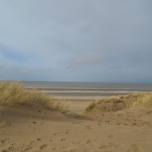 De Haan-aan-Zee, le Coq, un autre visage de la côte belge