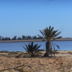 cote occidentale - lagune bleue