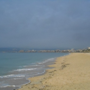 playa de palma 