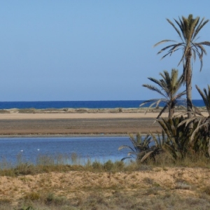 balade caleche vers le lac sale