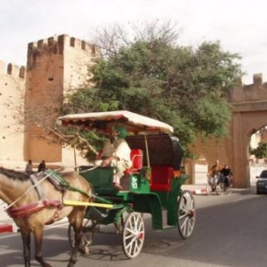 taroudant