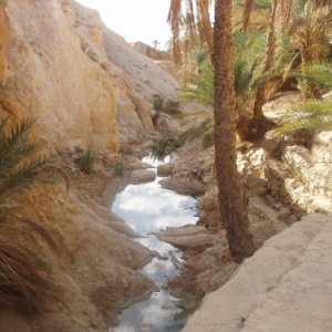 oasis de montagne - chebika