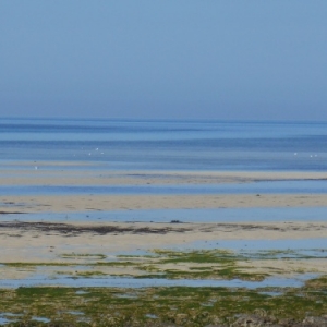 sidi jmour - cote occidentale