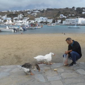 mykonos chora