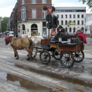 Journée "à pied, à cheval, à vélo" dans le centre de Liège