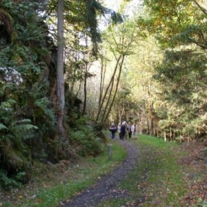 voie du tram, entre le moulin Bastin et Cowan