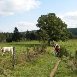 on traverse les prairies de Taverneux