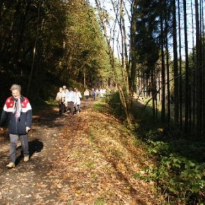 voie du tram entre l'Ermitage et le moulin Bastin