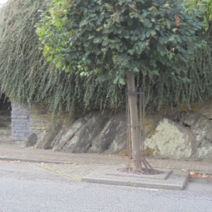 Rochers, interieur de la ville.