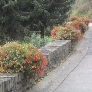 Rue de la Promenade 04.10.07.