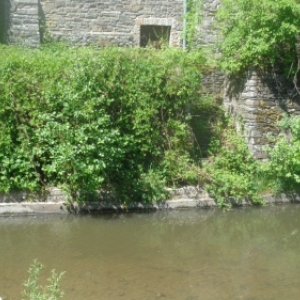 Escalier -desaffecte- menant au niveau de l'eau, derriere l'eglise, donc le vieux cimetiere. On y puisait l'eau pour "soigner" les tombes jusque dans les annes 50. 