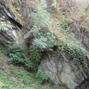 Rochers, interieur de la ville.