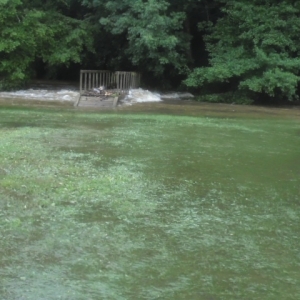 Le pont de bois entre la plaine de Houtopia et  Pierreuse