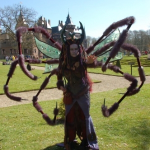 La foire aux Elfes - Haarzuilens (édition 2013)