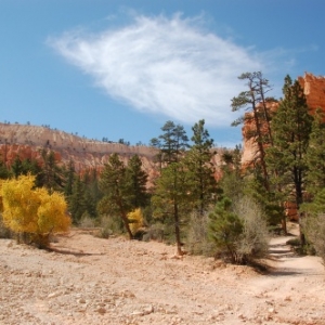 Bryce Canyon