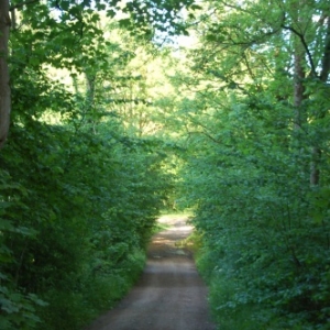 Balade gourmande au Bois du Chant d'Oiseaux