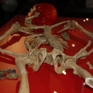 Squelette d'un soldat de 1815